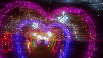 창원 2019 빛거리 축제 가로수 소망터널은 성산아트홀 가로수길에서 만날 수 있다.