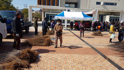 함안군이 15일과 오는 18일 ‘나무 나누어 주기’ 행사를 개최하는 가운데 사진은 지난 행사 모습.