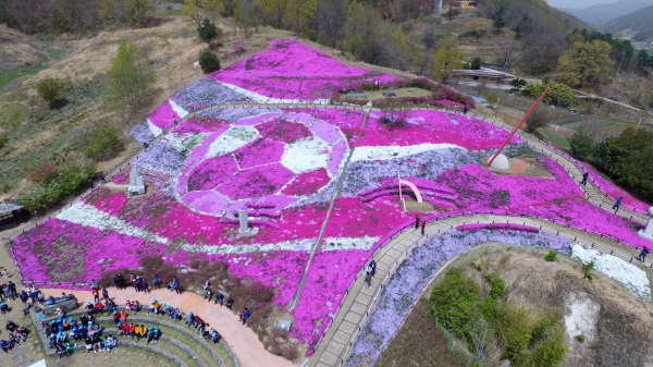 산청군이 창원컨벤션센터에서 열리는 '2019 경남관광박람회'에 참가해 지역 3대 봄꽃 축제를 홍보한다. 사진은 지난해 '생초조각공원 꽃잔디축제' 모습.