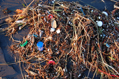 플라스틱 쓰레기로 오염된 바다.