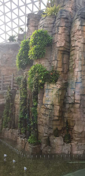 거제식물원 인공암벽.