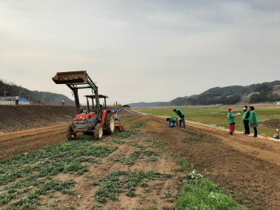 남해군 고현면이 귀농ㆍ촌인에게 66㎡(20평) 가량의 주말농장을 무상으로 제공하고 있다. 사진은 주말농장 경운 작업.