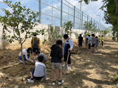 고성 율천초등학교 학생들이 담장나무길을 조성하기 위해 나무를 심고 있다.