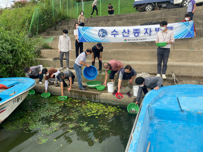 양산시 농업기술센터가 지난 18일 원동천 일원에 잉어, 붕어 약 34만 미를 방류했다.