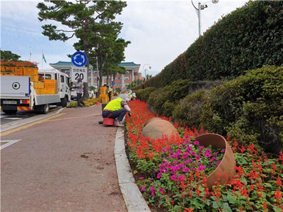 김해시 관계자가 시가지 꽃길을 정비하고 있다.