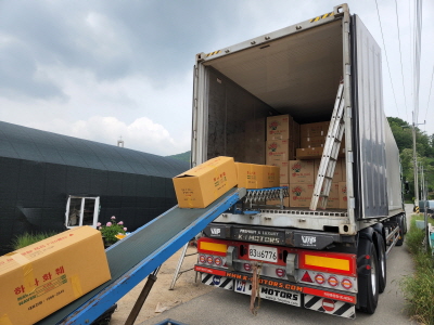 중국의 과소비 근절과 코로나19로 부진했던 김해 양란 수출이 재개됐다. 사진은 중국 수출을 위해 트럭에 적재 중인 김해 양란.
