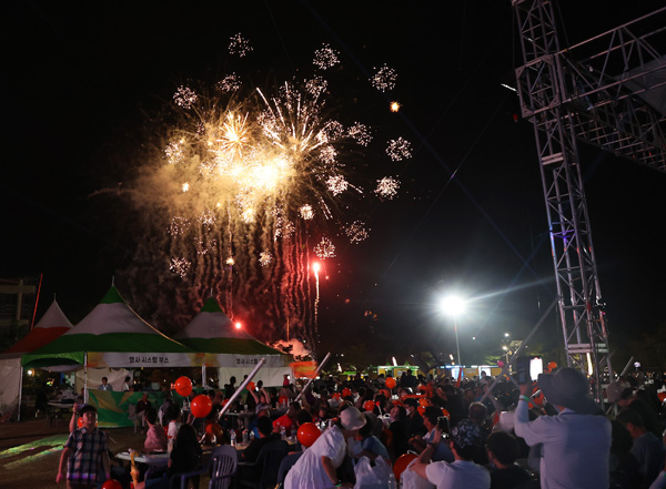 ﻿지난 11일 산삼축제 폐막식에서 불꽃축제가 열리고 있다.