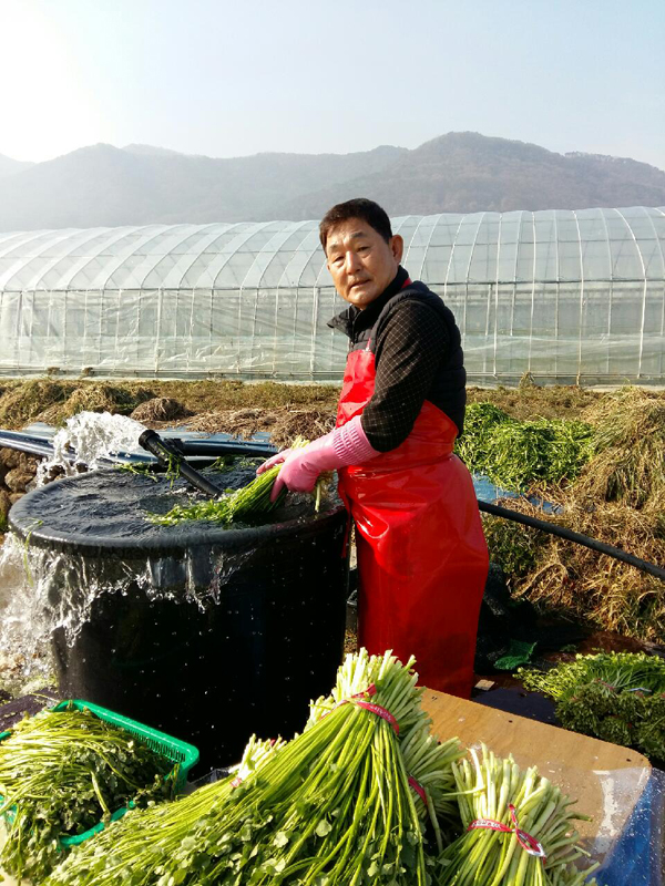 ﻿김해지역에서 40년째 농사짓고 있는 김학찬 씨. 오는 3월 김해농협 조합장에 도전하는 그는 "투명하고 탄력적인 경제사업으로 농민들에게 조금이라도 보탬이 되고 싶다"고 말했다.