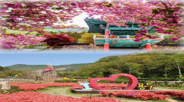﻿(사진 위부터) 청룡사 겹벚꽃 용두공원