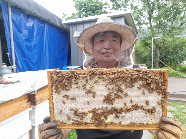 ﻿꿀벌체험장에서 소비를 들어 보이는 김봉성 스카이비비꿀벌체험농장 대표.