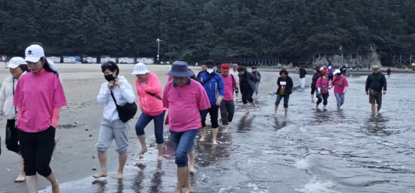 ﻿어싱포유 회원들이 다대포 해수욕장에서 모래 위를 맨발로 걷고 있다.
