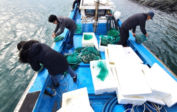 ﻿고성군이 어업인 소득증대를 위해 삼산면 두포리 포교해역에 전복 치패를 방류하고 있다.